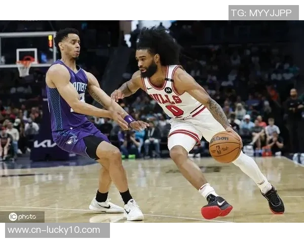 公牛与黄蜂激战全场精彩回放11月24日比赛精彩瞬间回顾