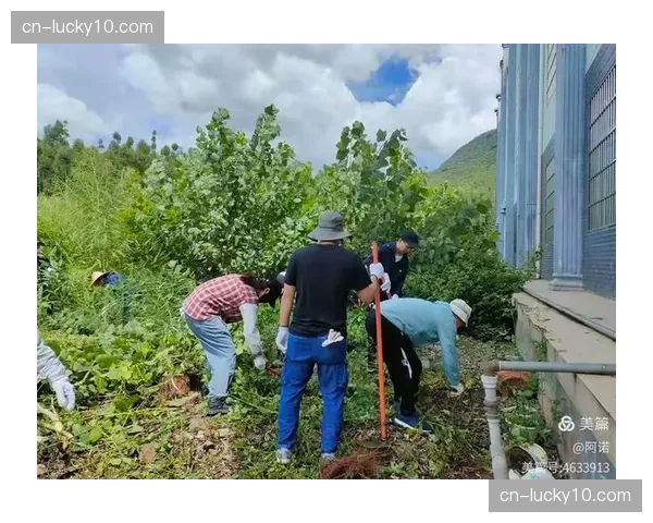 内容分发网络优化促使赛事组织效率显著提升