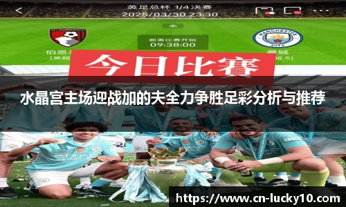 水晶宫主场迎战加的夫全力争胜足彩分析与推荐